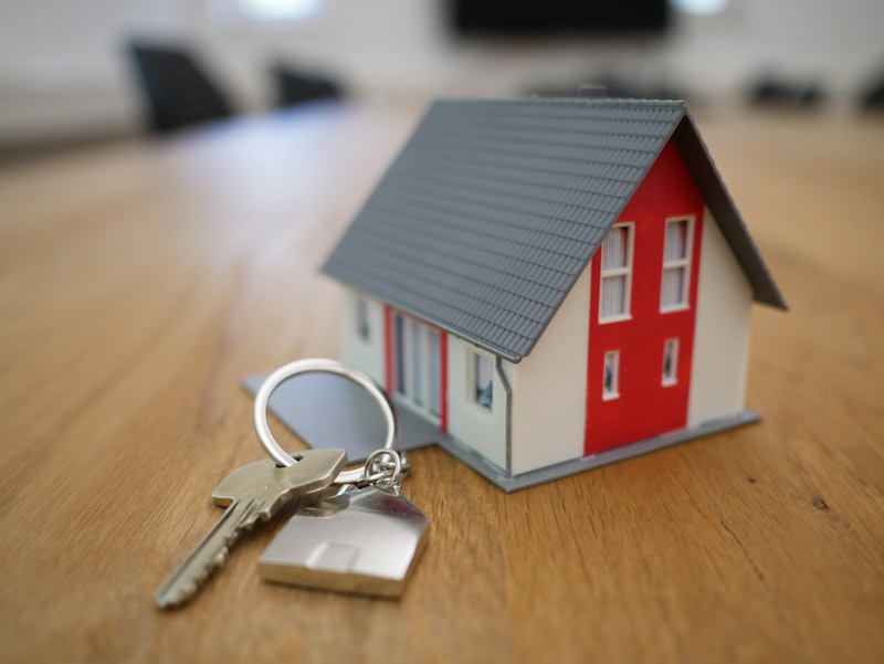 Zenith Builders: Zenith Real Estate Group — Bizbuddy Consulting Portfolio Case Study
